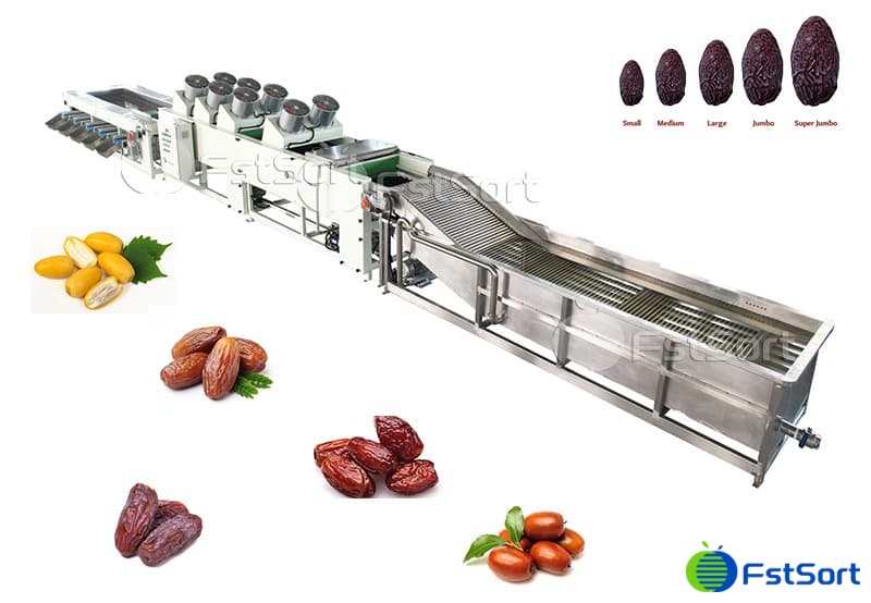 images/1728463050275date washing sorting line.jpg